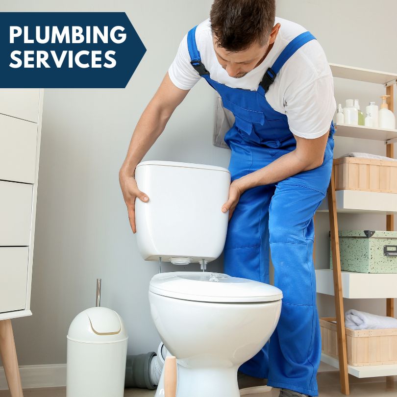 Plumbing Company in Lenzburg, IL